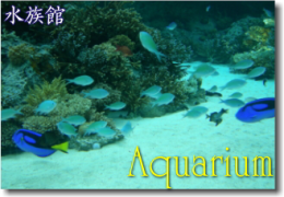 水族館サン・サーンス